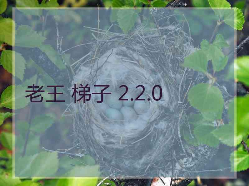 老王 梯子 2.2.0