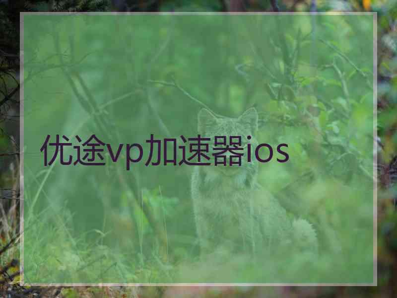 优途vp加速器ios