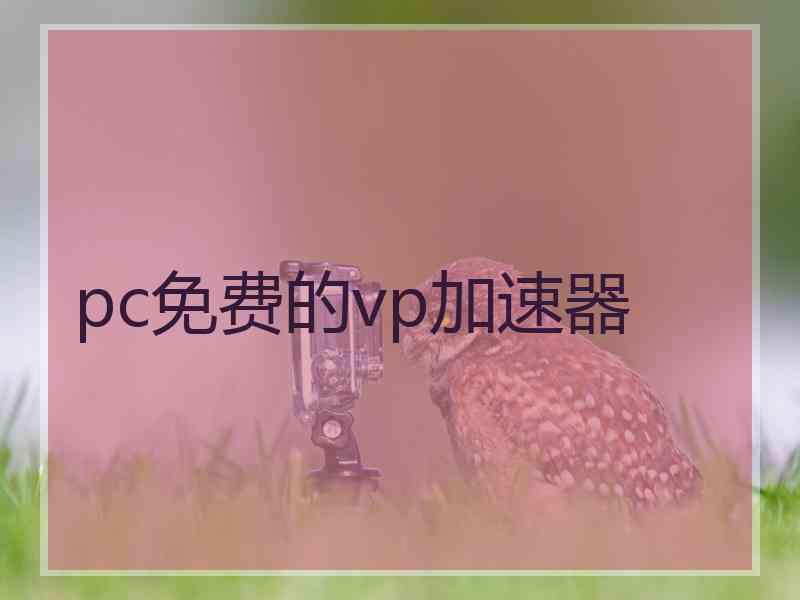 pc免费的vp加速器