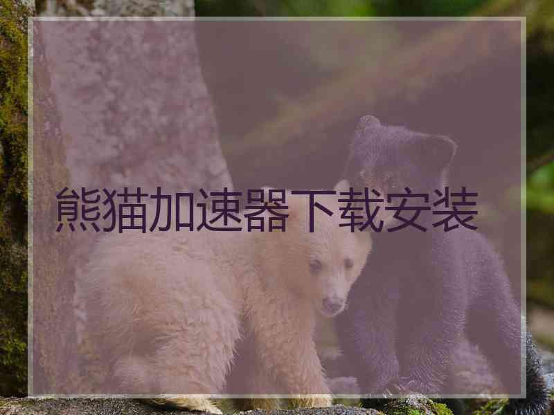 熊猫加速器下载安装