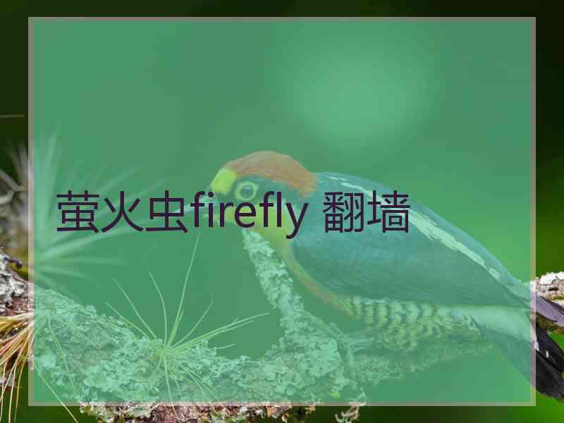 萤火虫firefly 翻墙