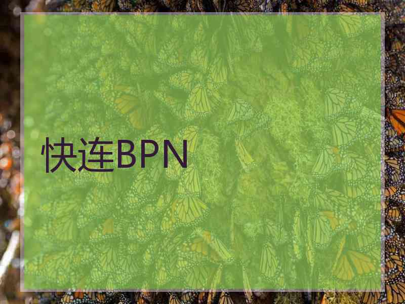 快连BPN