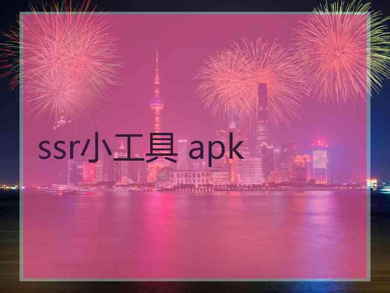 ssr小工具 apk