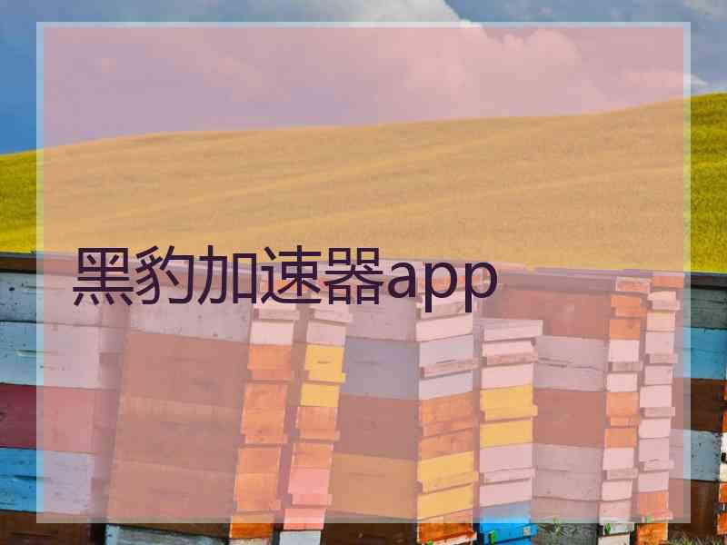 黑豹加速器app