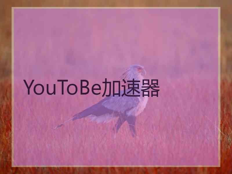 YouToBe加速器