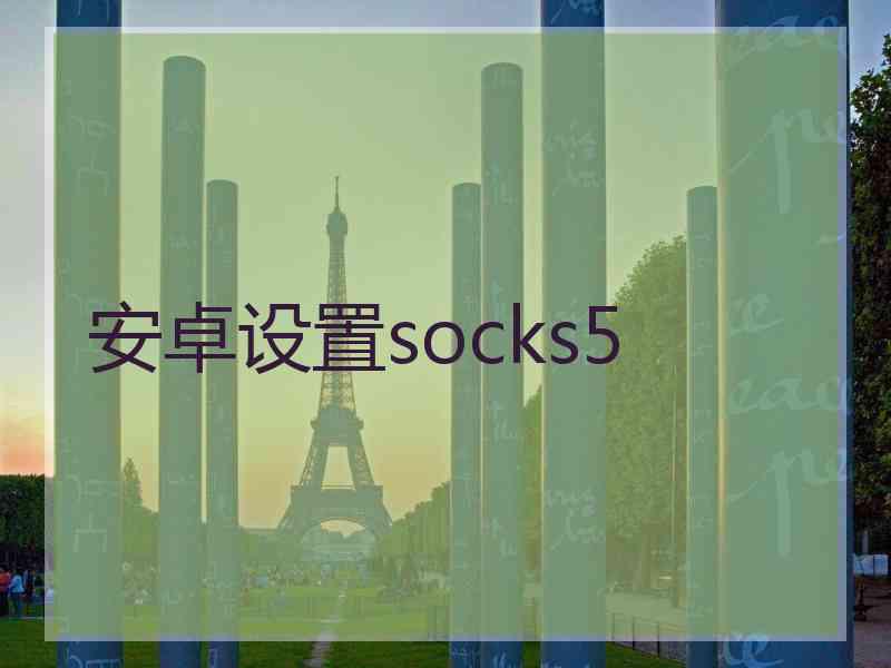 安卓设置socks5