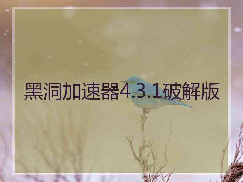 黑洞加速器4.3.1破解版