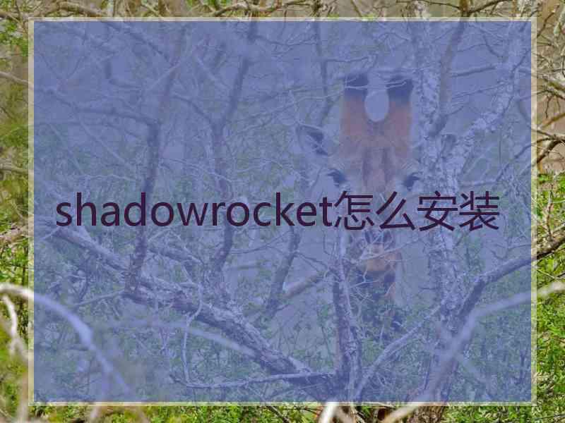 shadowrocket怎么安装