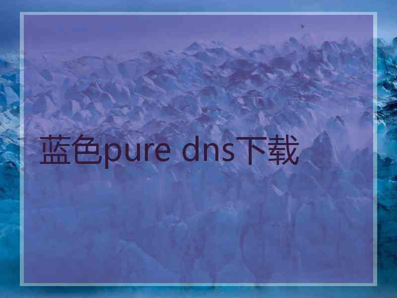 蓝色pure dns下载