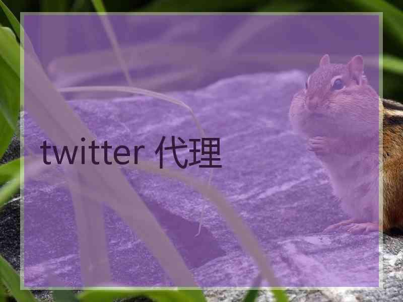 twitter 代理