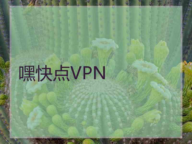 嘿快点VPN