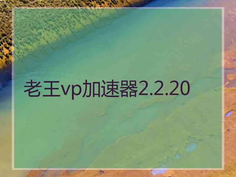 老王vp加速器2.2.20