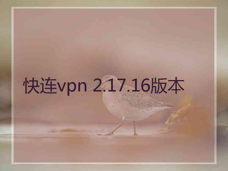 快连vpn 2.17.16版本