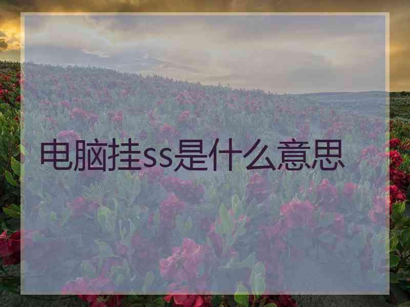 电脑挂ss是什么意思