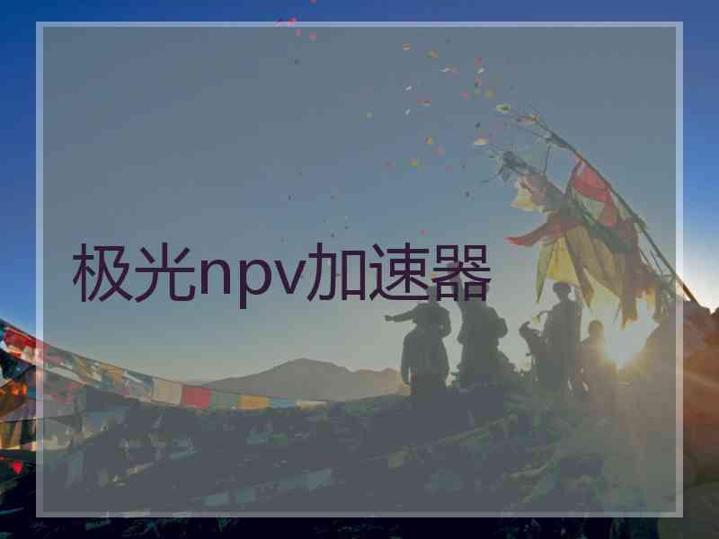 极光npv加速器